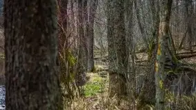 Ruciane Nida w marcowe popołudnie - zdjęcie 15