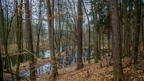 Ruciane Nida w marcowe popołudnie - zdjęcie 11