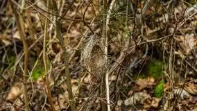 Ruciane Nida w marcowe popołudnie - zdjęcie 6