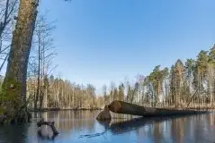 Zdjęcia: Mazurskie pejzaże na zdjęciach Janka Olchówki cz. II - zdjęcie 46