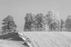 Zdjęcia: Mazurskie pejzaże na zdjęciach Janka Olchówki cz. II - zdjęcie 34
