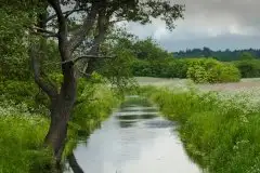 Zdjęcia: Mazurskie pejzaże na zdjęciach Janka Olchówki cz. II - zdjęcie 30