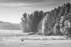 Zdjęcia: Mazurskie pejzaże na zdjęciach Janka Olchówki cz. II - zdjęcie 27