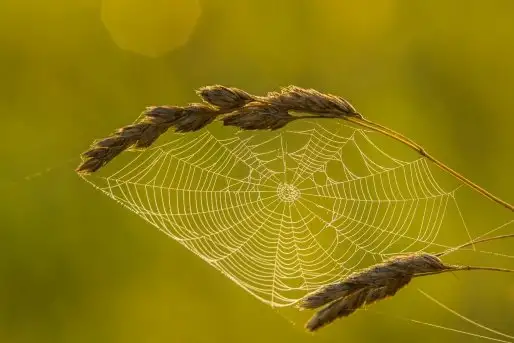 Zdjęcia: Mazurskie pejzaże na zdjęciach Janka Olchówki cz. II - zdjęcie 11