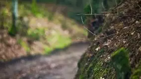 Las nad jeziorem Białym i rzeką Sapiną, marzec 2020 - zdjęcie 5