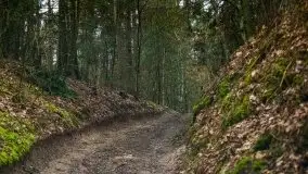 Las nad jeziorem Białym i rzeką Sapiną, marzec 2020 - zdjęcie 7