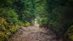 Las nad jeziorem Białym i rzeką Sapiną, marzec 2020 - zdjęcie 15