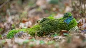 Las nad jeziorem Białym i rzeką Sapiną, marzec 2020 - zdjęcie 27