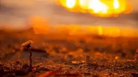 Złote Ogonki i jezioro Święcajty pierwszego dnia wiosny 2020 - zdjęcie 35