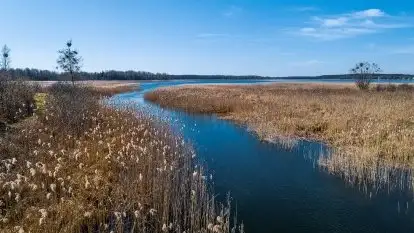 Jezioro Białoławki w marcowym słońcu