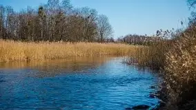 Jezioro Białoławki w marcowym słońcu - zdjęcie 30