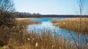 Jezioro Białoławki w marcowym słońcu - zdjęcie 37