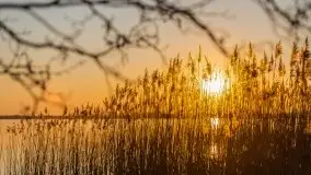 Kal i jezioro Mamry w marcowym słońcu - zdjęcie 11