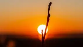 Kal i jezioro Mamry w marcowym słońcu - zdjęcie 45