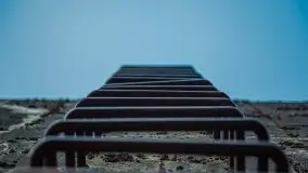 Mamerki i okolice pod koniec marca 2020 - zdjęcie 15