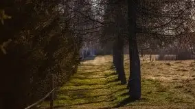 Wschód nad jeziorem Stręgielek, marzec 2020 - zdjęcie 38