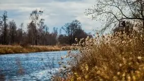Kanał Szymoński w marcu 2020 - zdjęcie 14