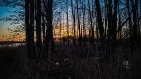 Jezioro Tałtowisko i kanał Grunwaldzki o zachodzie słońca - zdjęcie 3