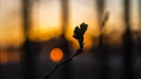 Jezioro Tałtowisko i kanał Grunwaldzki o zachodzie słońca - zdjęcie 16