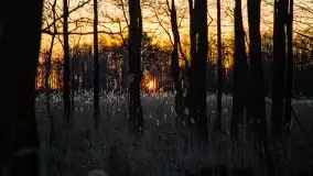 Jezioro Tałtowisko i kanał Grunwaldzki o zachodzie słońca - zdjęcie 14