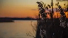 Jezioro Tałtowisko i kanał Grunwaldzki o zachodzie słońca - zdjęcie 23