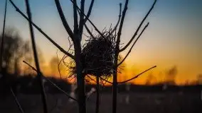 Jezioro Tałtowisko i kanał Grunwaldzki o zachodzie słońca - zdjęcie 24