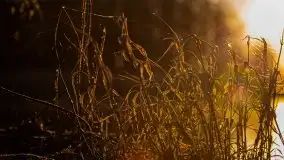 Pierkunowo i jezioro Kisajno w kwietniowym słońcu - zdjęcie 14