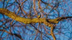 Pierkunowo i jezioro Kisajno w kwietniowym słońcu - zdjęcie 12