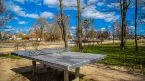 Pisz w kwietniowych promieniach słońca - zdjęcie 94