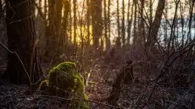 Złote jezioro Dejguny w kwietniowym słońcu - zdjęcie 11