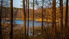 Złote jezioro Dejguny w kwietniowym słońcu - zdjęcie 5