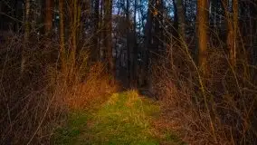 Złote jezioro Dejguny w kwietniowym słońcu - zdjęcie 21