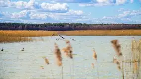 Śluza Karwik na początku kwietnia 2020 - zdjęcie 15