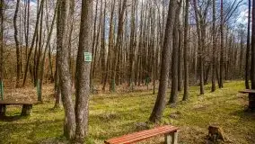 Śluza Karwik na początku kwietnia 2020 - zdjęcie 31