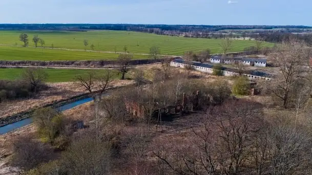 Ruiny Pałacu w Mieduniszkach Wielkich - zdjęcie 4