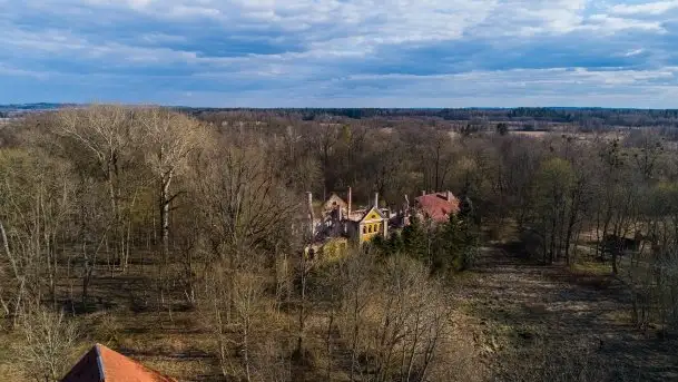 Ruiny Pałacu w Mieduniszkach Wielkich - zdjęcie 1