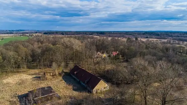 Ruiny Pałacu w Mieduniszkach Wielkich - zdjęcie 6