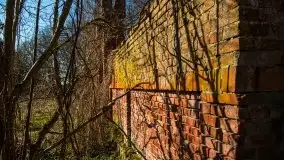 Ruiny Pałacu w Mieduniszkach Wielkich - zdjęcie 17