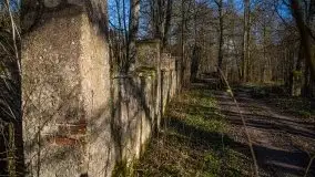 Ruiny Pałacu w Mieduniszkach Wielkich - zdjęcie 18