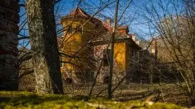 Ruiny Pałacu w Mieduniszkach Wielkich - zdjęcie 20