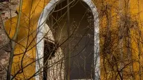 Ruiny Pałacu w Mieduniszkach Wielkich - zdjęcie 38