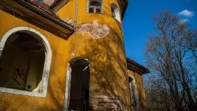 Ruiny Pałacu w Mieduniszkach Wielkich - zdjęcie 40