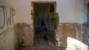 Ruiny Pałacu w Mieduniszkach Wielkich - zdjęcie 43