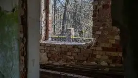 Ruiny Pałacu w Mieduniszkach Wielkich - zdjęcie 45