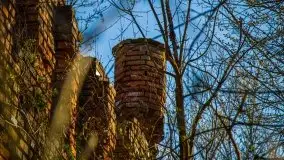 Ruiny Pałacu w Mieduniszkach Wielkich - zdjęcie 70