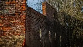 Ruiny Pałacu w Mieduniszkach Wielkich - zdjęcie 72