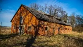 Ruiny Pałacu w Mieduniszkach Wielkich - zdjęcie 77