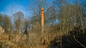 Ruiny Pałacu w Mieduniszkach Wielkich - zdjęcie 79