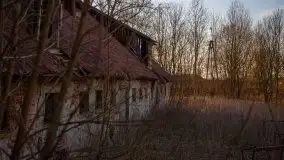 Ruiny Pałacu w Mieduniszkach Wielkich - zdjęcie 81