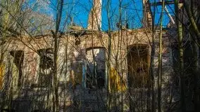 Ruiny Pałacu w Mieduniszkach Wielkich - zdjęcie 88